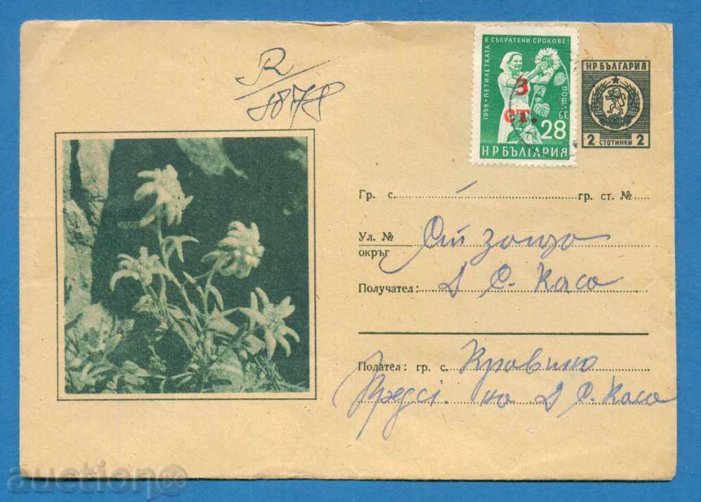 PS12610 / IPTZ Bulgaria 1963 - retipărire edelweiss