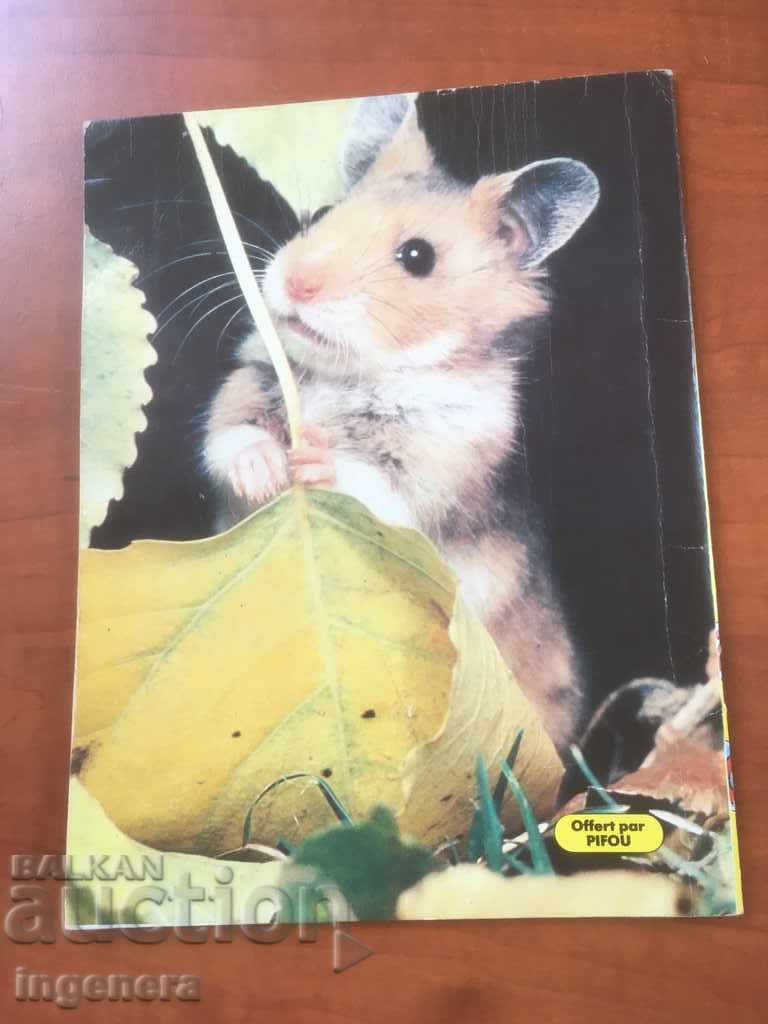 Delivery of PIF PUOU MAGAZINE Delivery of PIF PUOU MAGAZINE