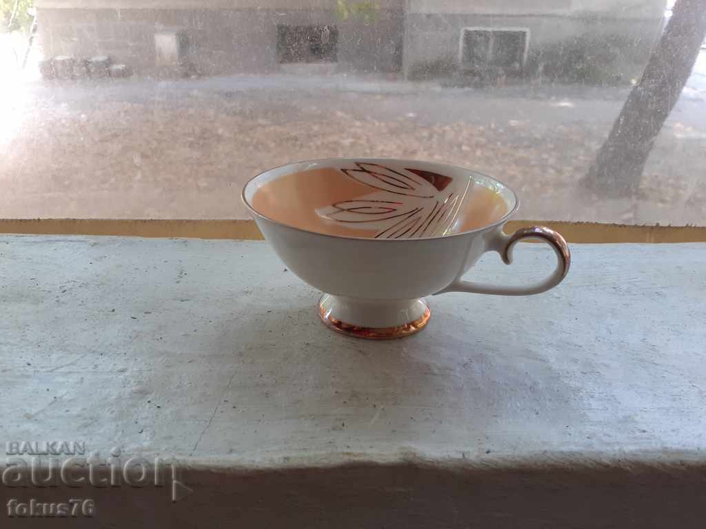 Collectible porcelain cup Schuman Arzberg Bavaria with price 39.00 BGN | € 19.94