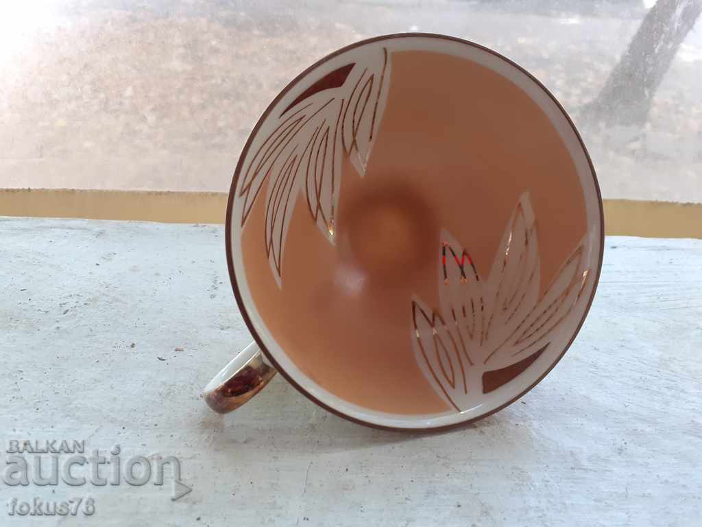 Collectible porcelain cup Schuman Arzberg Bavaria - 6