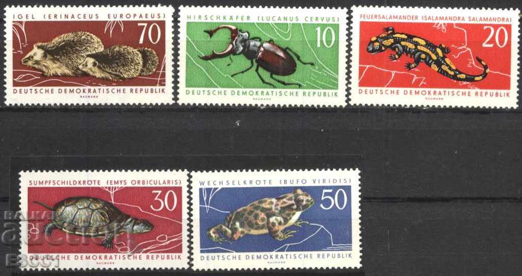 Чисти марки Фауна 1963 от ГДР  Източна Германия