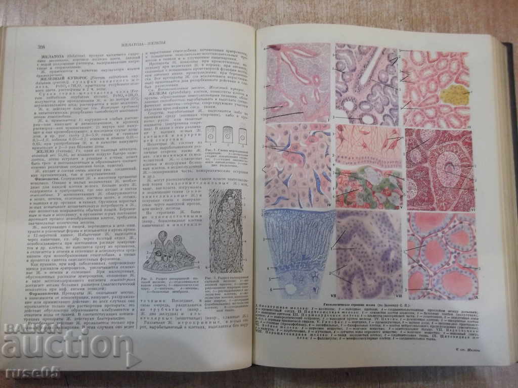 The book "Veterinary encyclopaedic dictionary-volume 1-KISkryabin" - 640 pages. - 5