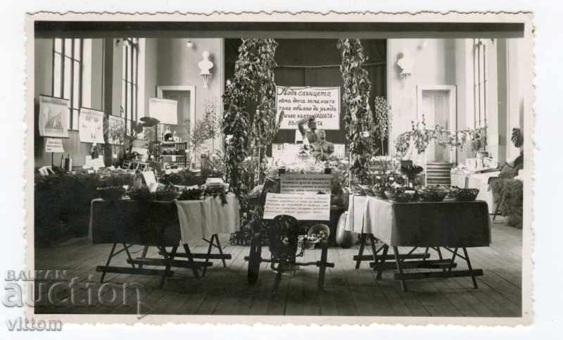 Propaganda exhibition Targovishte photo card 1937 with price 15.00 BGN | € 7.67 Propaganda exhibition Targovishte photo card 1937 with price 15.00 BGN | € 7.67