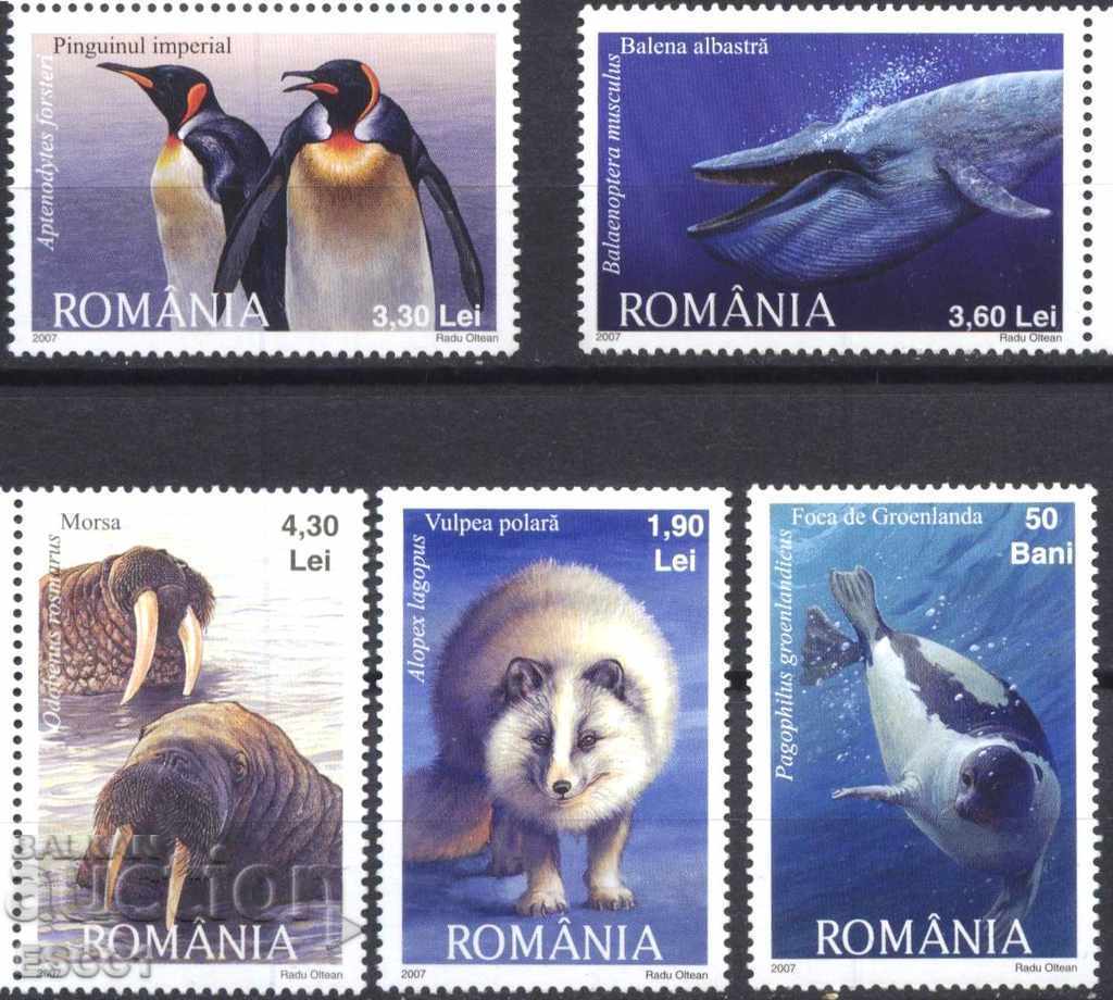Чисти марки Полярна Фауна 2007 от Румъния