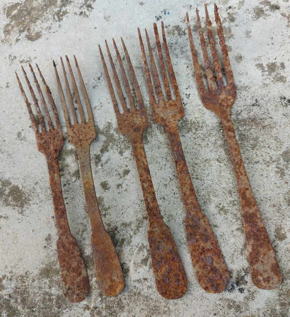 THE END OF THE 19TH CENTURY REVIVAL CHORBADZHIY DEVICES FORKS