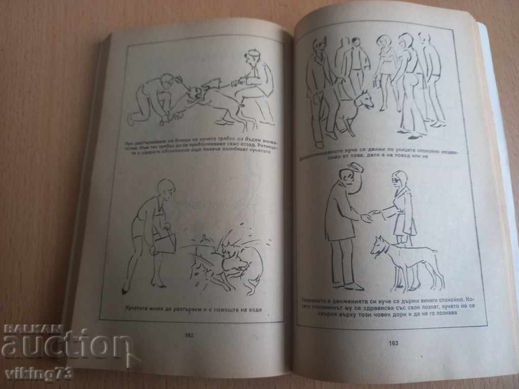 Auction Bobby hobby. Auction Bobby hobby.