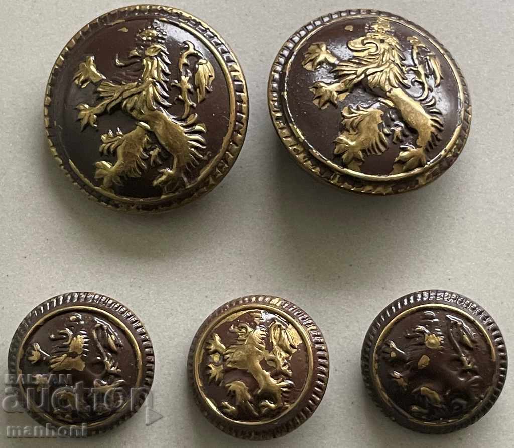 4965 Regatul Bulgariei 5 butoane de camuflaj Țarul Boris III