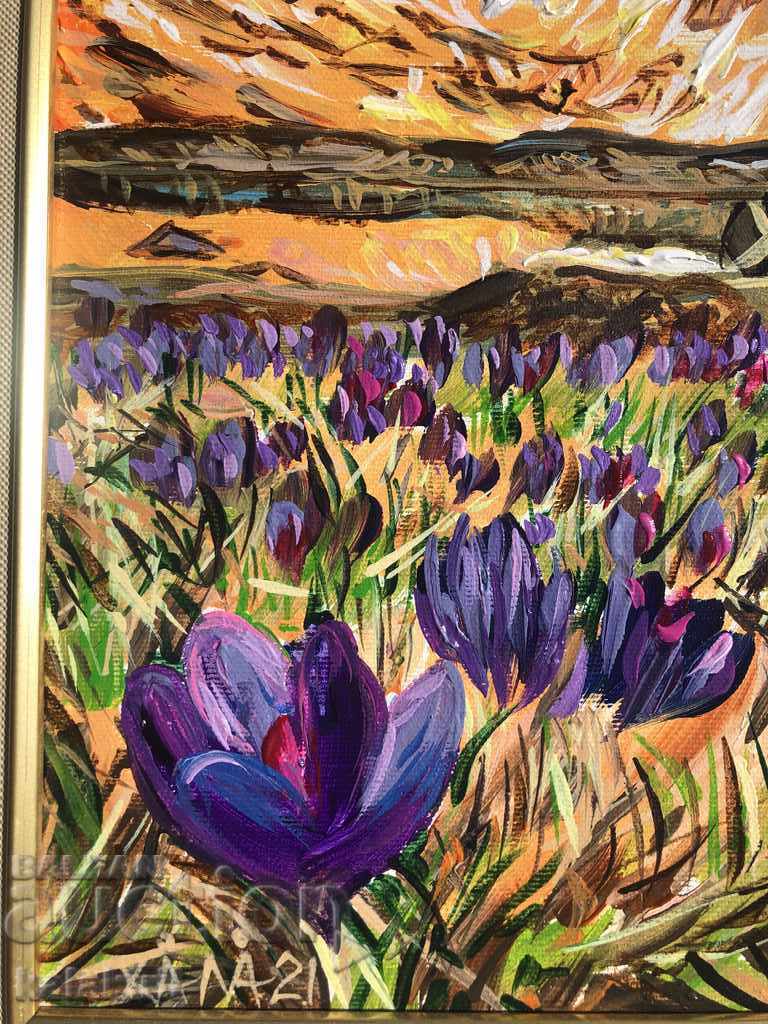 „Lacul Tevnoto” cu preț 400.00 BGN | € 204.52 „Lacul Tevnoto” cu preț 400.00 BGN | € 204.52