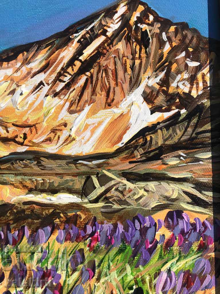 Licitație „Lacul Tevnoto” Licitație „Lacul Tevnoto”