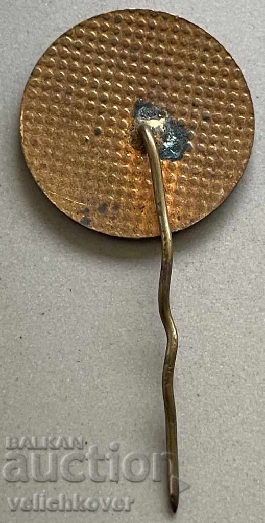 30900 Bulgaria sign Russian Church Town Shipka enamel with price 3.00 BGN | € 1.53 30900 Bulgaria sign Russian Church Town Shipka enamel with price 3.00 BGN | € 1.53