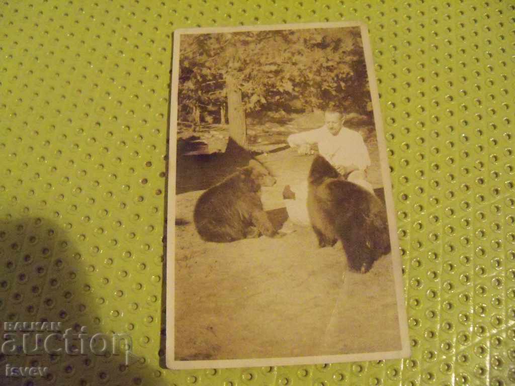 Παλιά φωτογραφία κάρτα, αρκούδα. Χωρίς επιγραφές.
