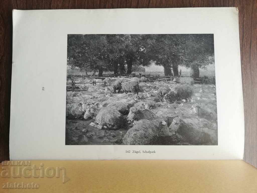 Modern Gallery in the Orangery of the Belvedere 1929 - 5 Modern Gallery in the Orangery of the Belvedere 1929 - 5