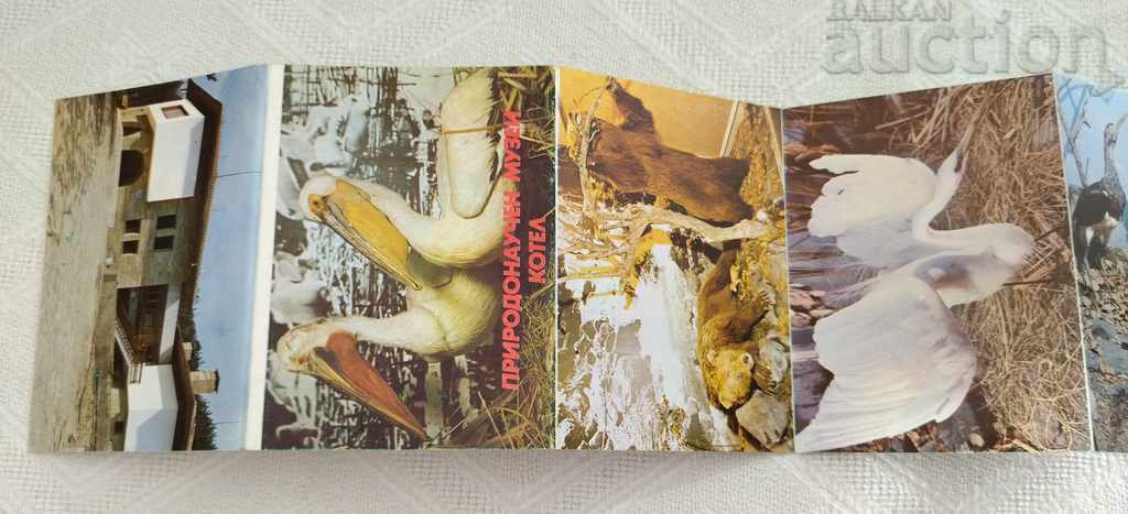 NATURAL SCIENCE MUSEUM BOILER DIPLYANKA 9 STAFF PK.1989 with price 5.00 BGN | € 2.56 NATURAL SCIENCE MUSEUM BOILER DIPLYANKA 9 STAFF PK.1989 with price 5.00 BGN | € 2.56