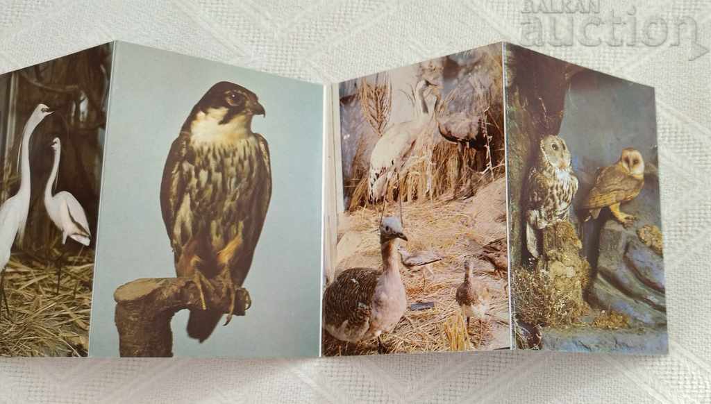 Delivery of NATURAL SCIENCE MUSEUM BOILER DIPLYANKA 9 STAFF PK.1989 Delivery of NATURAL SCIENCE MUSEUM BOILER DIPLYANKA 9 STAFF PK.1989