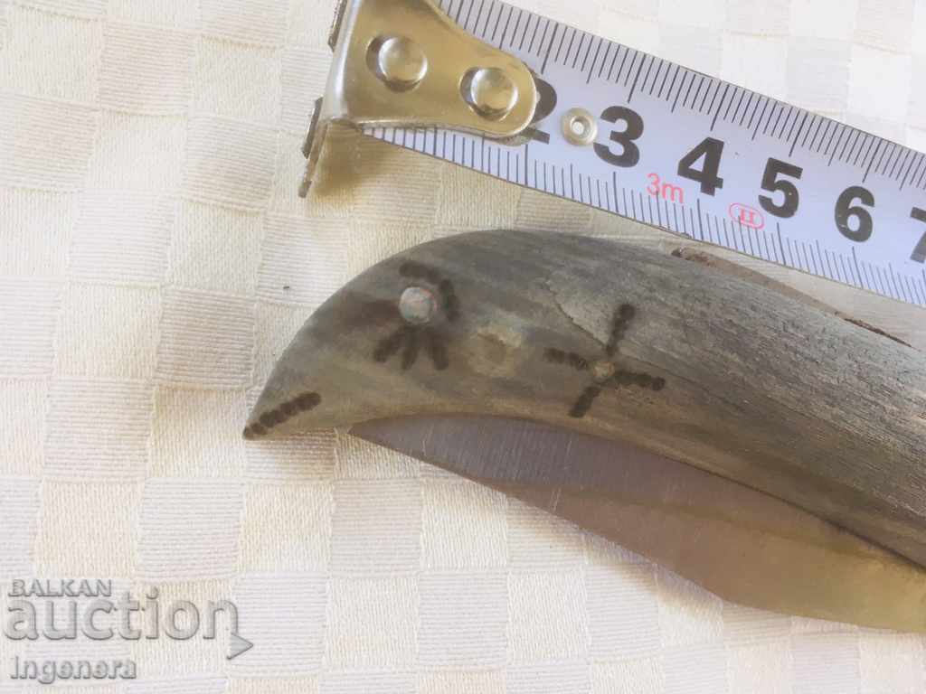 Auction BECAUSE BROWN Auction BECAUSE BROWN