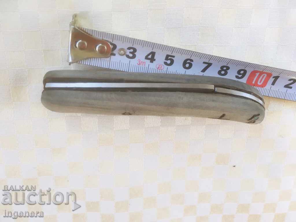 Delivery of BECAUSE BROWN Delivery of BECAUSE BROWN