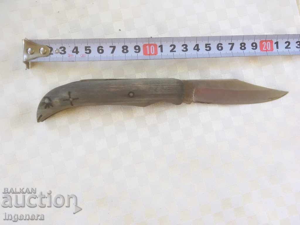 BECAUSE BROWN - 5 BECAUSE BROWN - 5