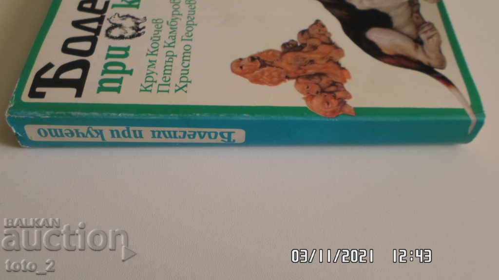 Delivery of DISEASES OF DOGS - KOICHEV, KAMBUROV, GEORGIEV, ELEZOV, DIMOV Delivery of DISEASES OF DOGS - KOICHEV, KAMBUROV, GEORGIEV, ELEZOV, DIMOV