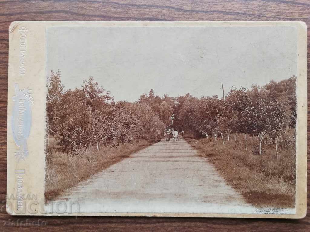 Old photo Hard cardboard with price 30.00 BGN | € 15.34 Old photo Hard cardboard with price 30.00 BGN | € 15.34