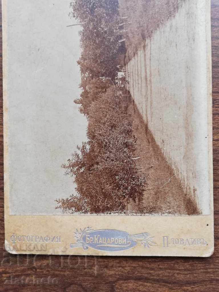 Auction Old photo Hard cardboard Auction Old photo Hard cardboard