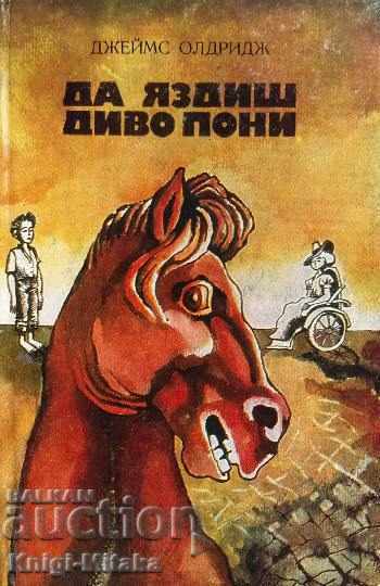 To Ride a Wild Pony - James Aldridge