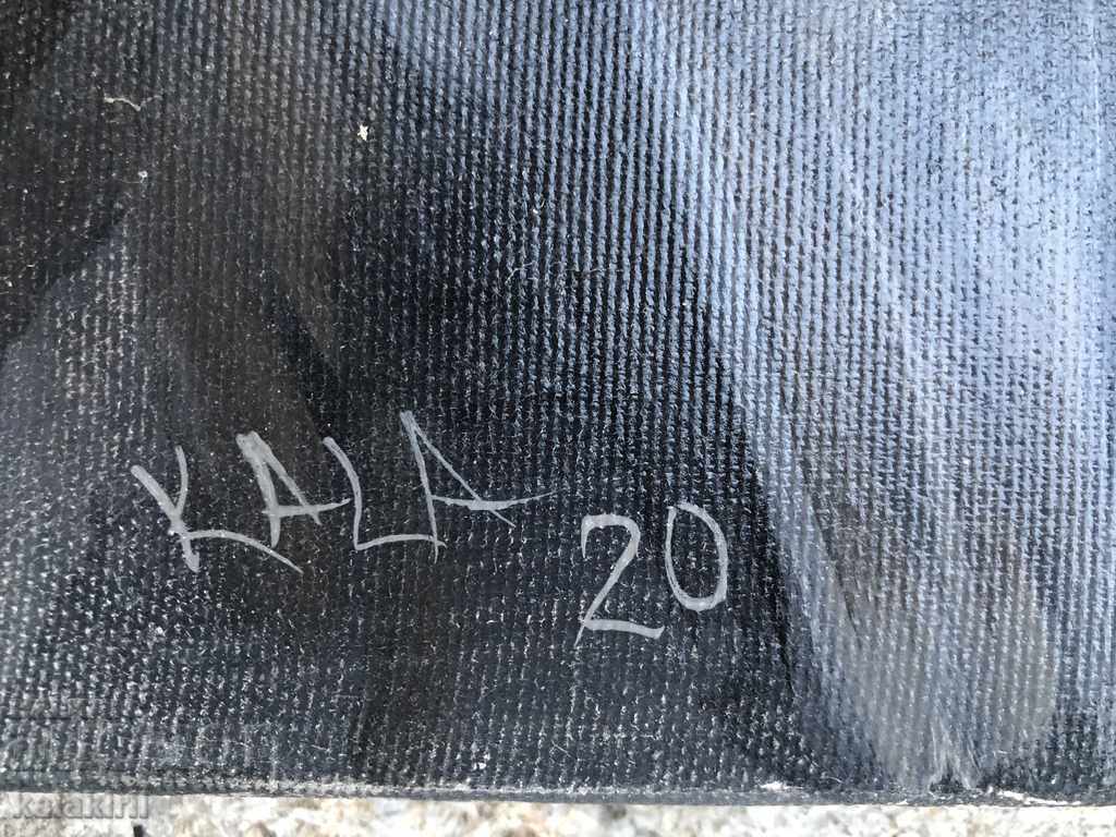 Auction "Portrait of Vladimir Ilyich Lenin" Auction "Portrait of Vladimir Ilyich Lenin"