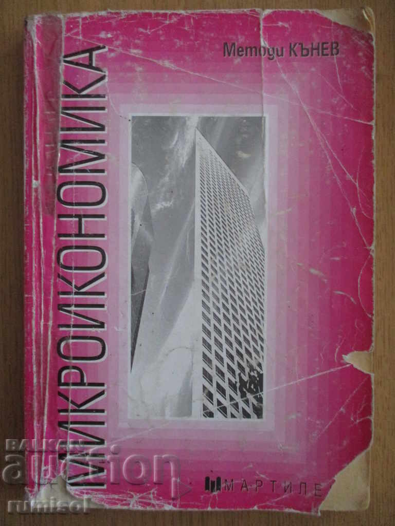 Microeconomics - Metodi Kanev
