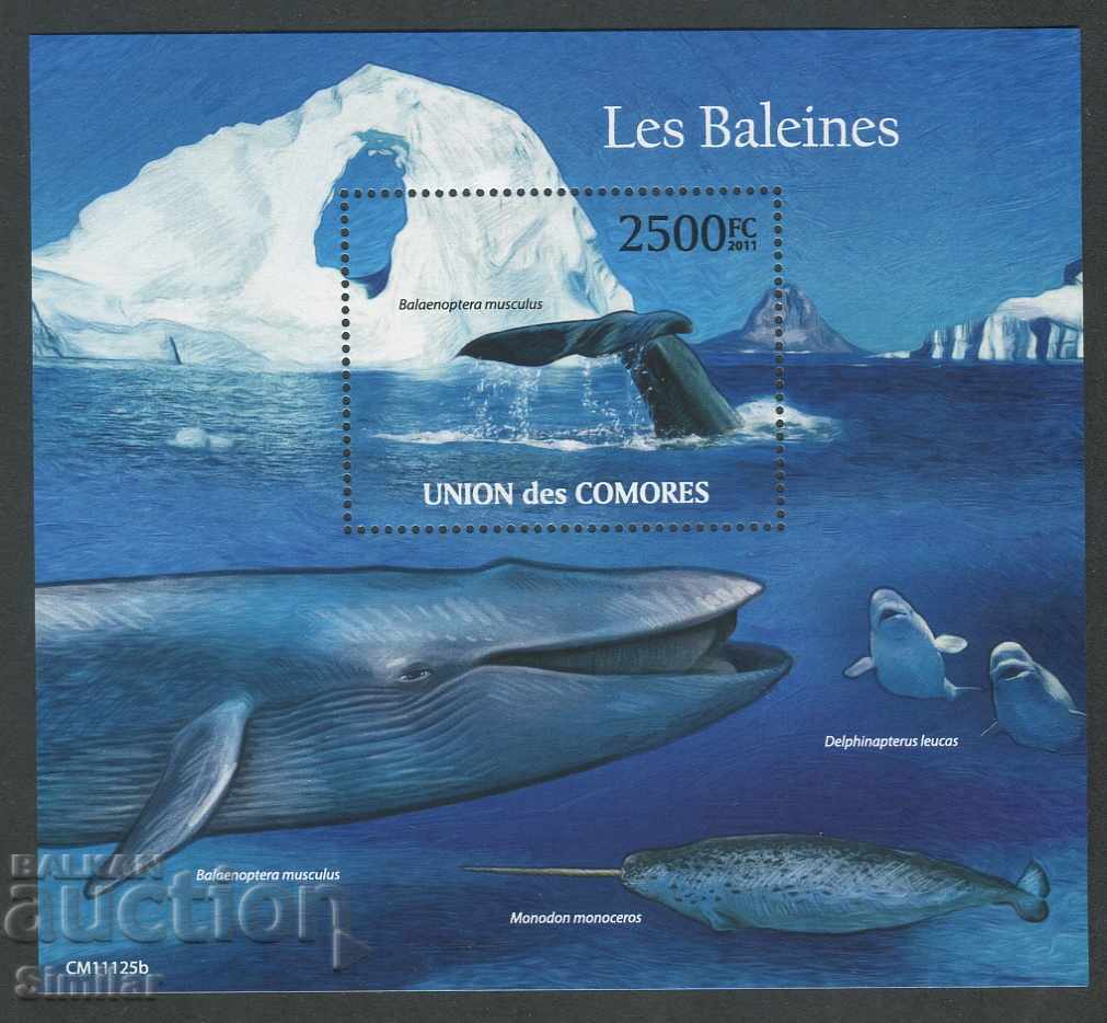 Auction  Comoros 2011 MNH - Fauna, marine animals