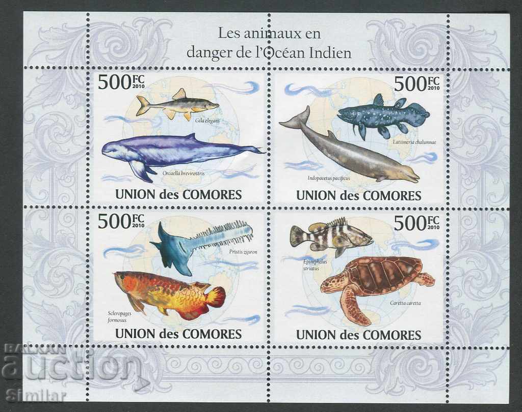 Auction Comoros 2010 MNH - Fauna, fish Auction Comoros 2010 MNH - Fauna, fish