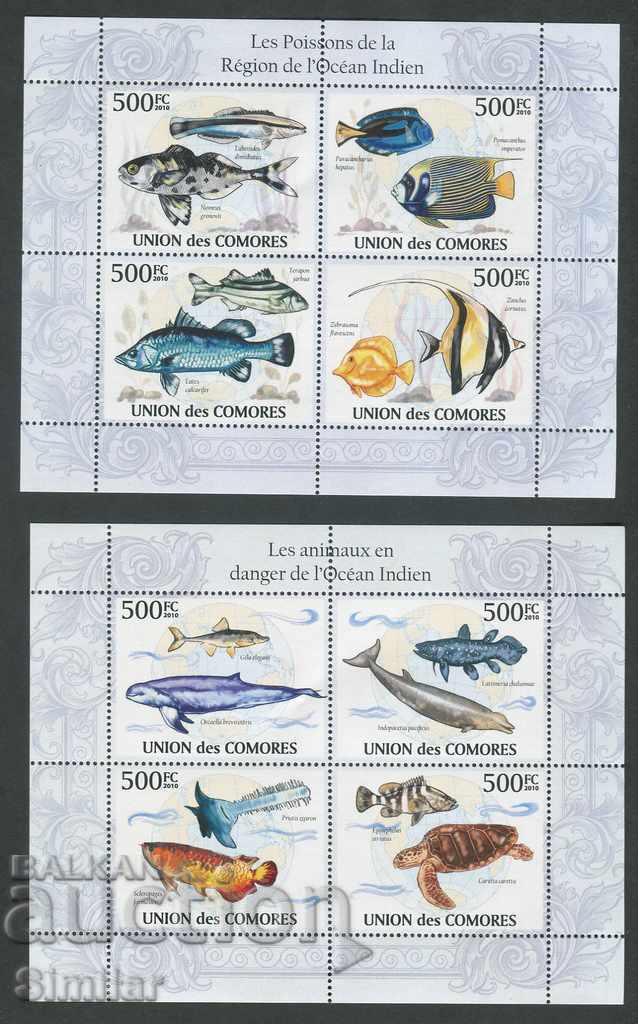 Comoros 2010 MNH - Fauna, fish