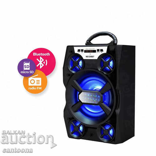 Large portable Bluetooth speaker with LED lights MS - 248