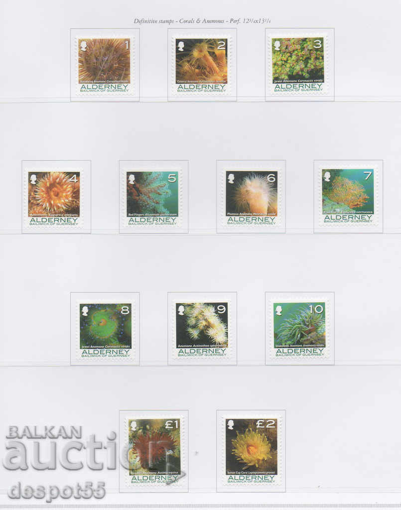 2006. Alderney. Marine life - corals and anemones.