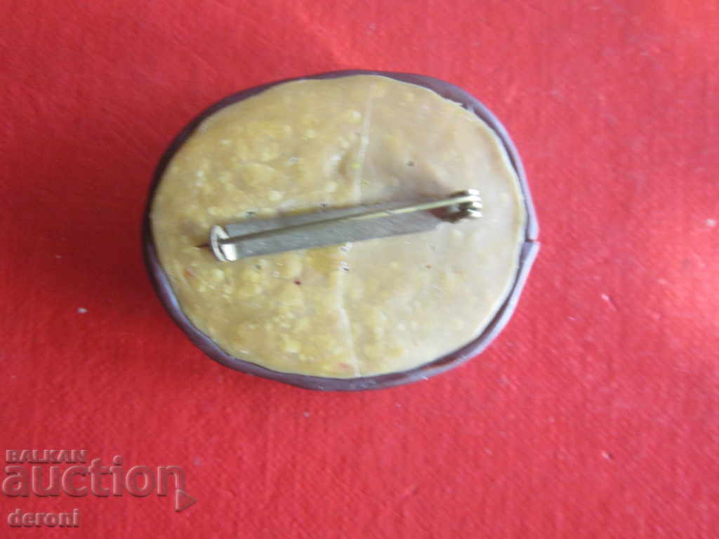 Delivery of Unique art brooch Delivery of Unique art brooch