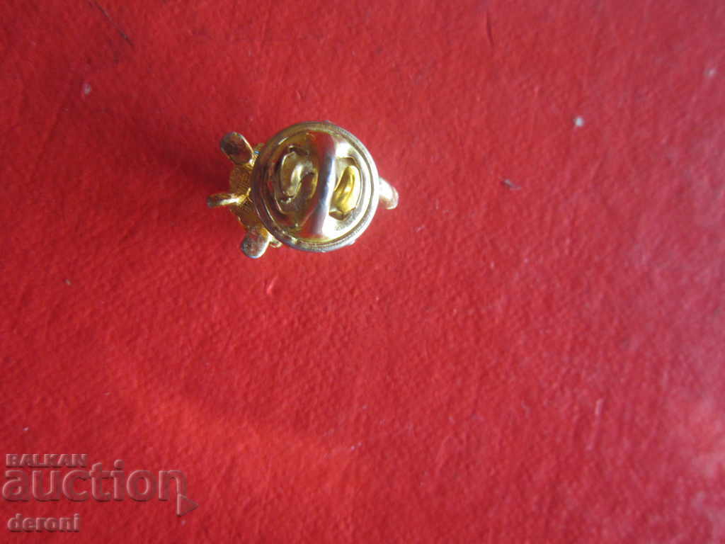 Auction Amazing brooch 12 Auction Amazing brooch 12