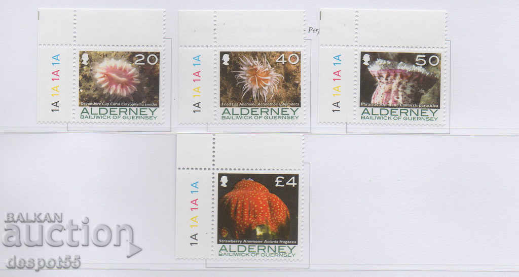 2007. Alderney. Marine life - corals and anemones.