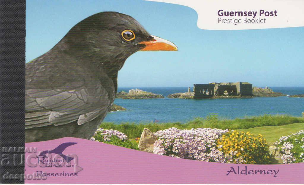 2007. Alderney. Local birds. Carnet.