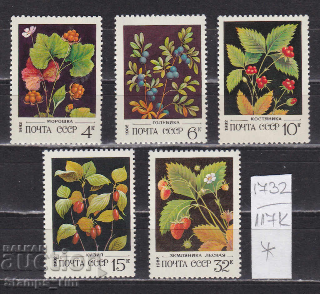 117К1732 / СССР 1982 Rusia flora Fructe de padure *