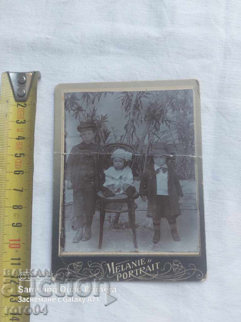 Auction STAR PHOTOGRAPHY - CARD Auction STAR PHOTOGRAPHY - CARD