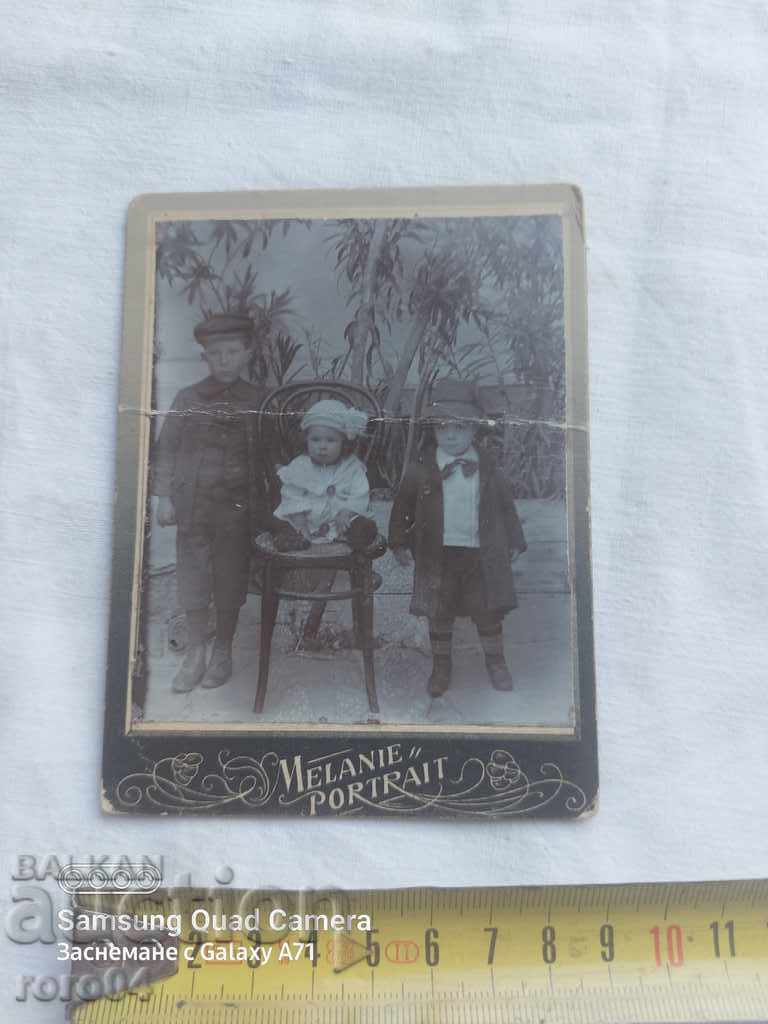 Delivery of STAR PHOTOGRAPHY - CARD Delivery of STAR PHOTOGRAPHY - CARD