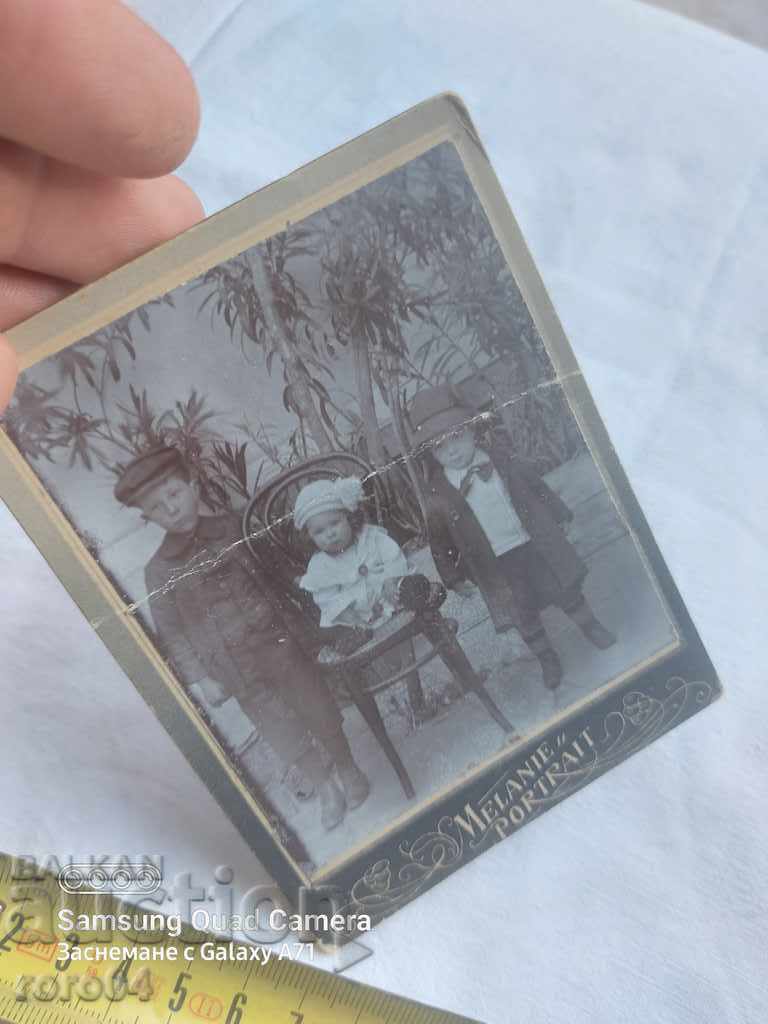 STAR PHOTOGRAPHY - CARD - 7 STAR PHOTOGRAPHY - CARD - 7