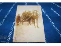 Old postcard photo in the cart