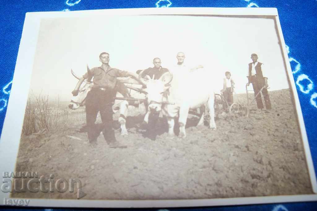 Old postcard-photo from Boyana 1928. with price 10.00 BGN | € 5.11 Old postcard-photo from Boyana 1928. with price 10.00 BGN | € 5.11