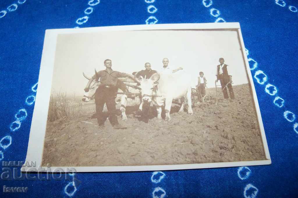 Carte poștală veche-foto din Boyana 1928.