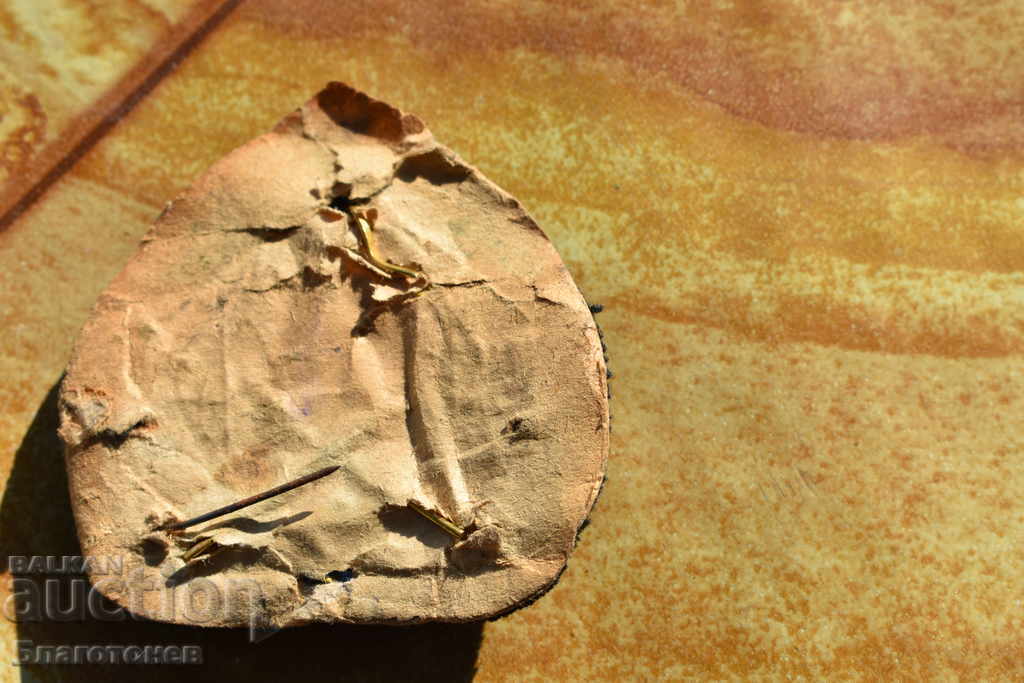 Θαλάσσια κοκάδα με τιμή 20.00 BGN | € 10.23