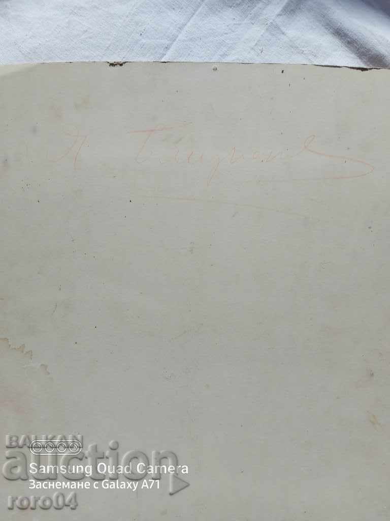 SEVLIEVO - JUDGE - PROSECUTOR - 1908 - 6 SEVLIEVO - JUDGE - PROSECUTOR - 1908 - 6