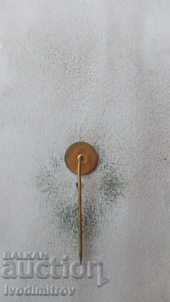 Badge Hockey match Banik Pribram with price 3.45 BGN | € 1.76 Badge Hockey match Banik Pribram with price 3.45 BGN | € 1.76