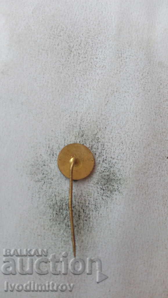 Spartak Sobeslav Hockey badge with price 2.85 BGN | € 1.46 Spartak Sobeslav Hockey badge with price 2.85 BGN | € 1.46