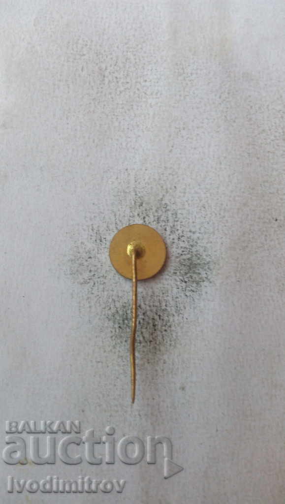 Spartak Sobeslav Hockey badge with price 2.85 BGN | € 1.46 Spartak Sobeslav Hockey badge with price 2.85 BGN | € 1.46