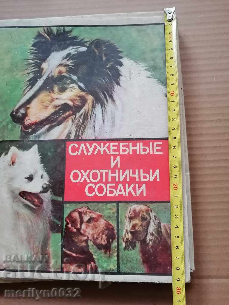 Old box with matches 28 boxes hunting theme USSR with price 141.00 BGN | € 72.09 Old box with matches 28 boxes hunting theme USSR with price 141.00 BGN | € 72.09