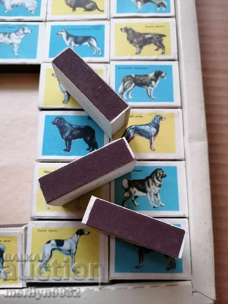 Old box with matches 28 boxes hunting theme USSR - 6 Old box with matches 28 boxes hunting theme USSR - 6